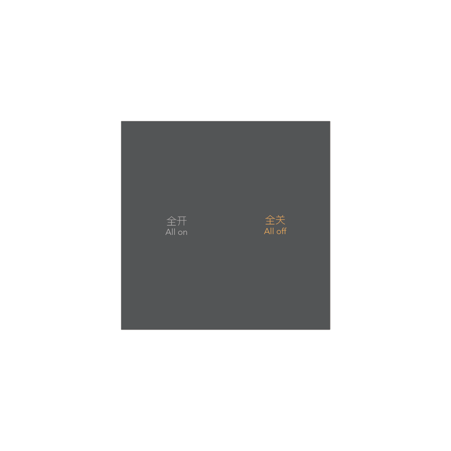 2键智能控制面板-E1R4